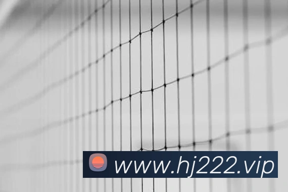 奖项证书